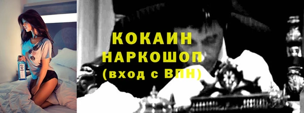 мет Алексин