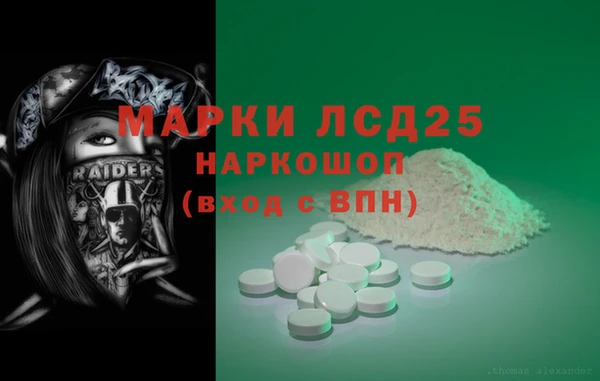 ECSTASY Алзамай