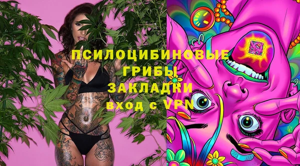 ECSTASY Алзамай