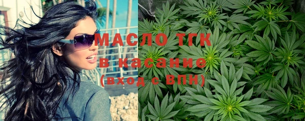 мет Алексин