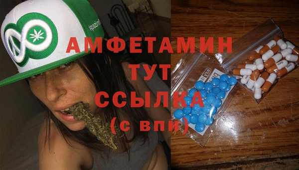 ECSTASY Алзамай