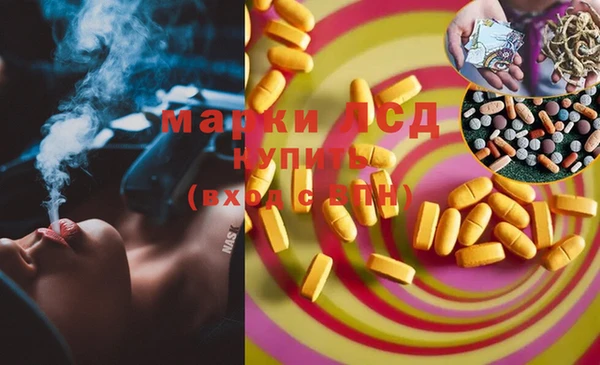 ECSTASY Алзамай